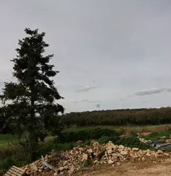 Foto annuncio 24