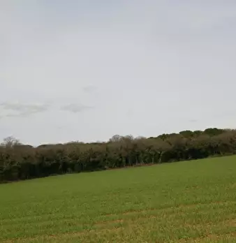 Foto annuncio 43