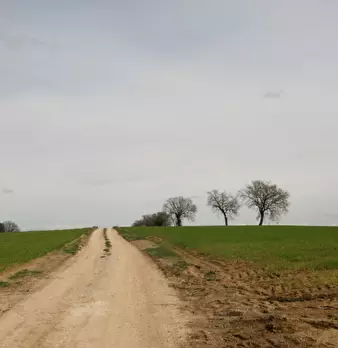 Foto annuncio 45