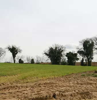 Foto annuncio 46