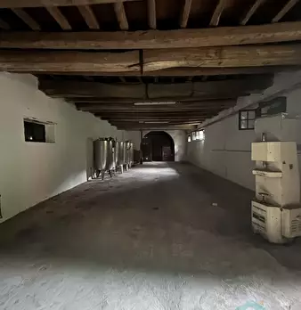 Foto annuncio 5