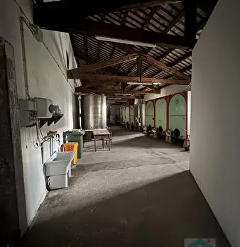 Foto annuncio 9