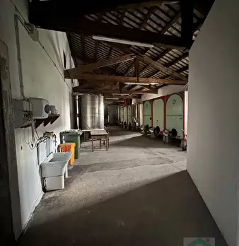 Foto annuncio 12