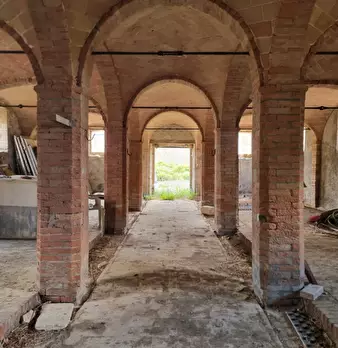 Foto annuncio 5