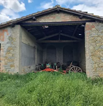 Foto annuncio 17