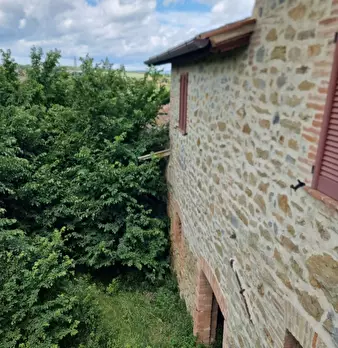 Foto annuncio 18