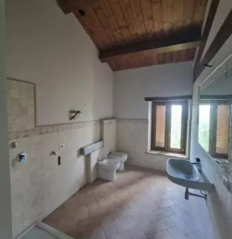 Foto annuncio 31