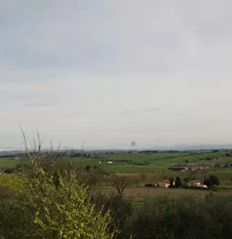 Foto annuncio 11