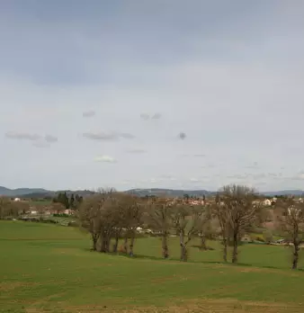 Foto annuncio 34