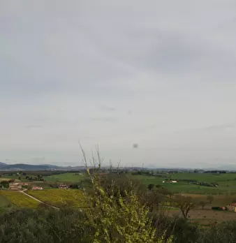 Foto annuncio 35