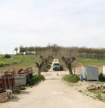 Foto annuncio 37