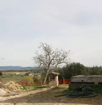 Foto annuncio 39