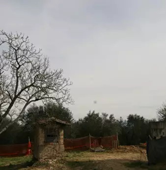 Foto annuncio 43