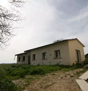 Foto annuncio 46