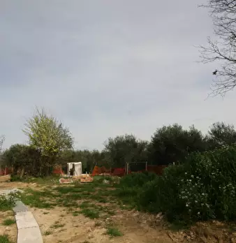 Foto annuncio 48