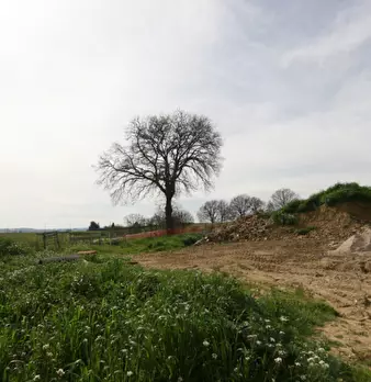 Foto annuncio 49