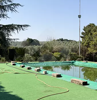 Foto annuncio 17