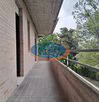 Foto annuncio 28