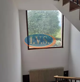 Foto annuncio 49