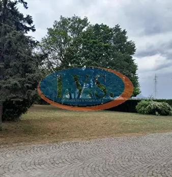 Foto annuncio 54