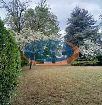 Foto annuncio 60