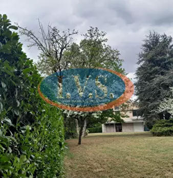 Foto annuncio 61