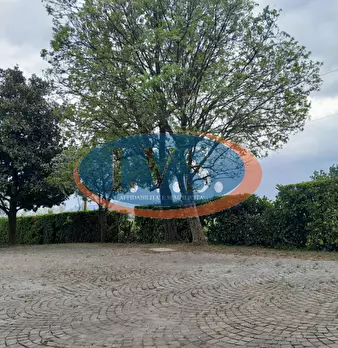 Foto annuncio 72