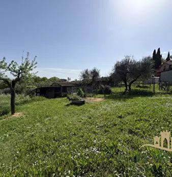 Foto annuncio 20