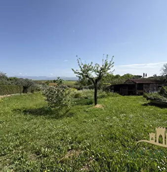 Foto annuncio 29