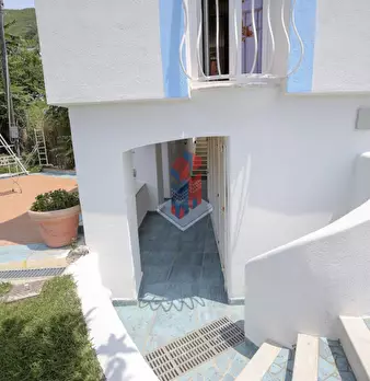 Foto annuncio 53