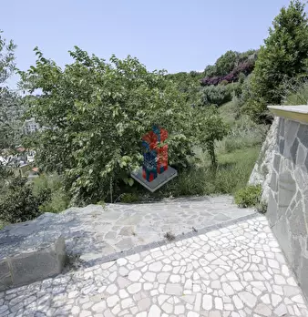 Foto annuncio 77