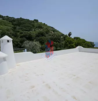 Foto annuncio 92