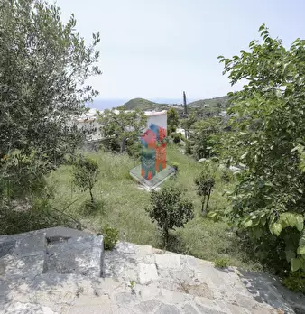 Foto annuncio 105