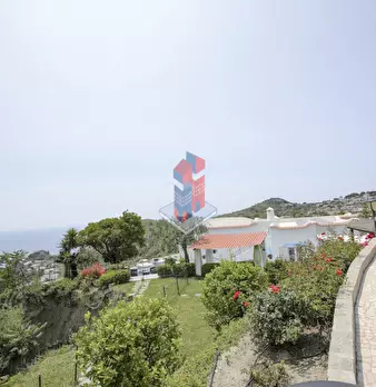 Foto annuncio 108