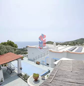 Foto annuncio 111