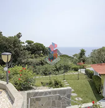 Foto annuncio 113