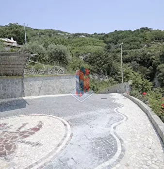 Foto annuncio 116