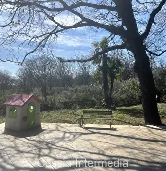 Foto annuncio 27