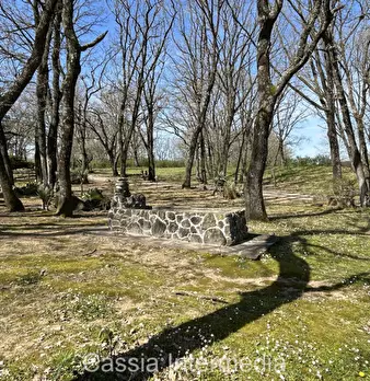 Foto annuncio 29