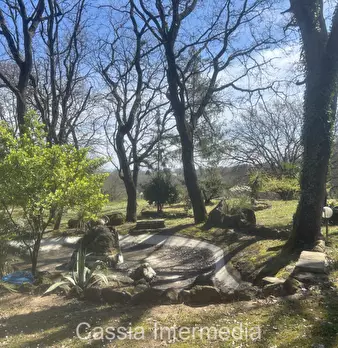 Foto annuncio 30