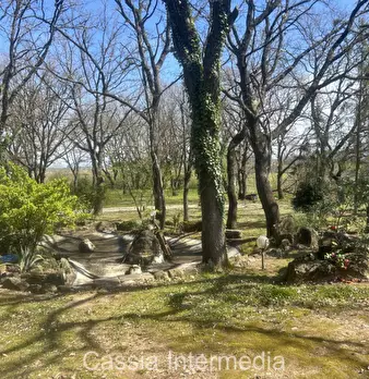 Foto annuncio 31