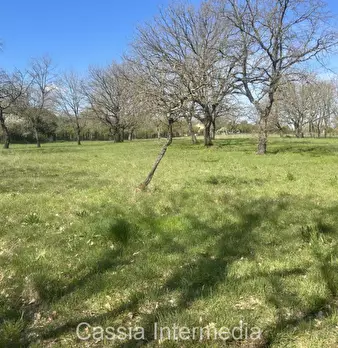 Foto annuncio 35