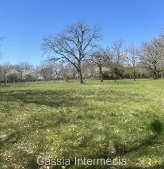 Foto annuncio 36
