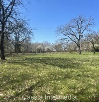 Foto annuncio 37