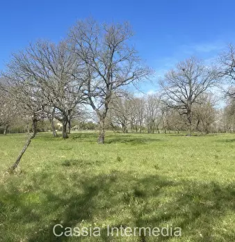 Foto annuncio 38