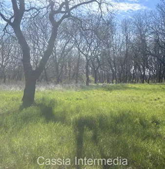 Foto annuncio 39