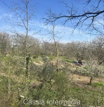 Foto annuncio 40
