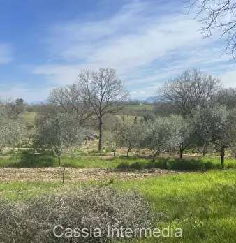 Foto annuncio 41