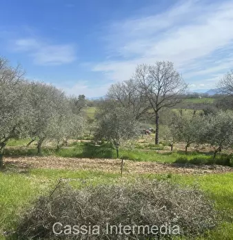 Foto annuncio 42