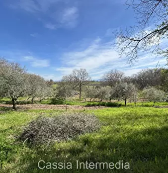 Foto annuncio 43